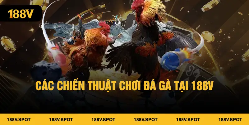 Các chiến thuật chơi đá gà tại 188V