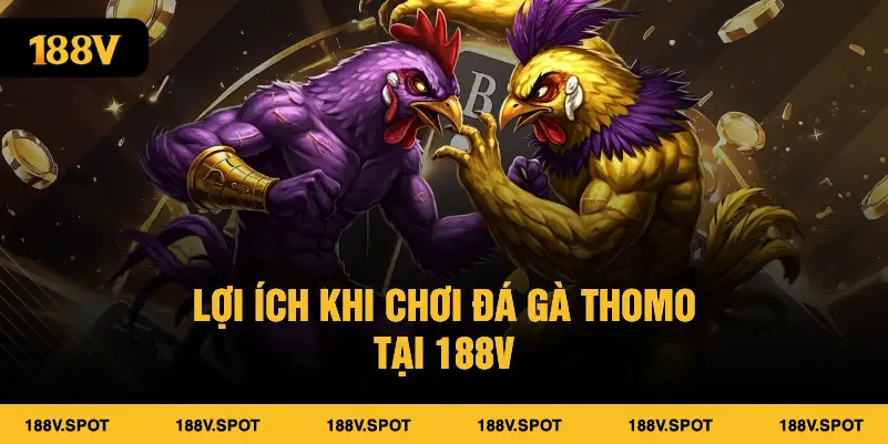 Lợi ích khi chơi đá gà Thomo tại 188V