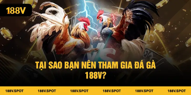 Tại sao bạn nên tham gia Đá gà 188V?